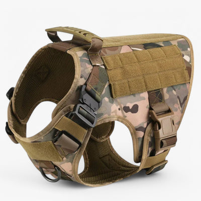 Tactical dog harness in nylon with handle, quick-release buckles and MOLLE webbing, padded and escape-proof, also as a set with collar and lead