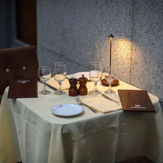 Cordless rechargeable LED table lamp
