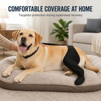 Adjustable Dog Rear Leg Recovery Sleeve with Paw Cover - Helps Limit Licking During Post-Surgery Rest