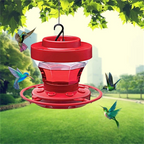 Bee-Proof Hummingbird Feeder with Perch - 470 ml Capacity