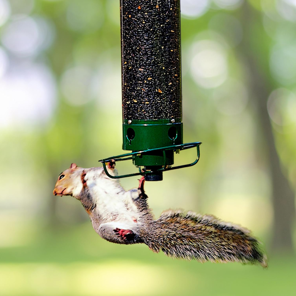 Bird Feeder Metal Squirrel Proof Hanging Outdoor Garden Tube