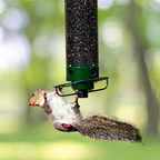 Bird Feeder Metal Squirrel Proof Hanging Outdoor Garden Tube
