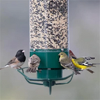 Bird Feeder Metal Squirrel Proof Hanging Outdoor Garden Tube