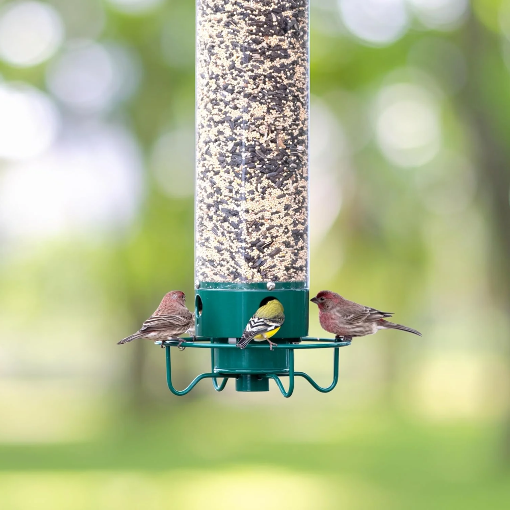 Bird Feeder Metal Squirrel Proof Hanging Outdoor Garden Tube