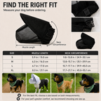 Breathable Anti-Scavenging Dog Muzzle for Walks - Mesh Hood Helps Block Food Scraps & Rubbish