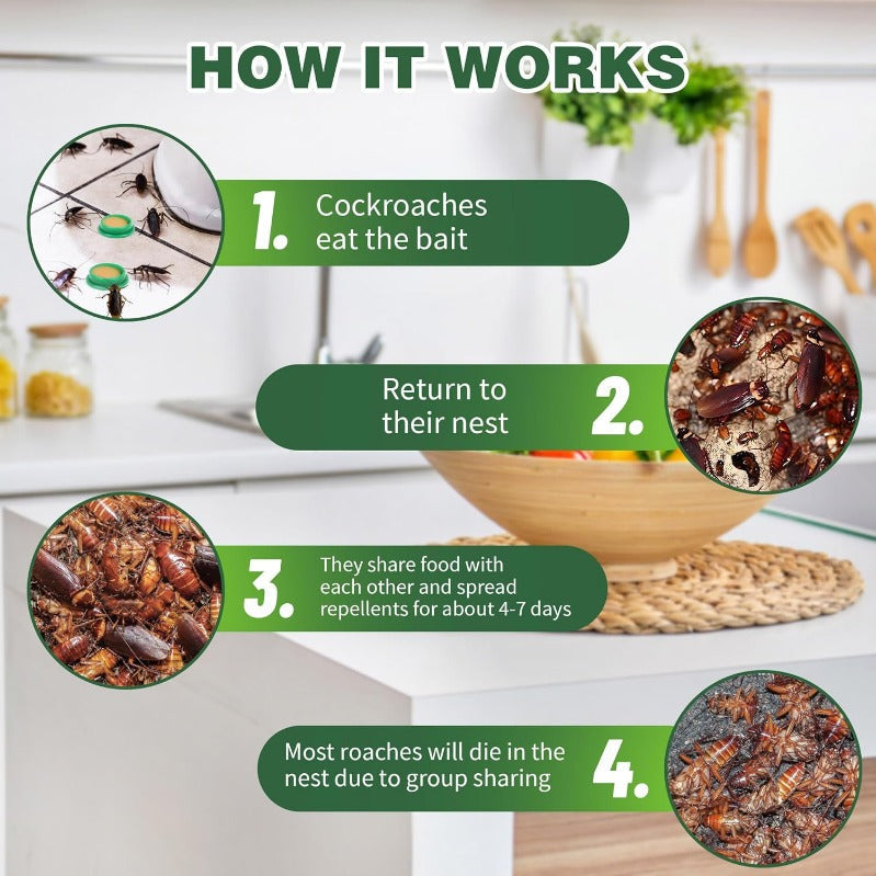 Cockroach Bait Discs, 24-Pack with Enclosed Housing for Indoor Placement