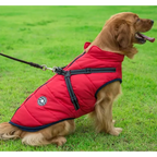3-in-1 Winter Coat for Dogs with Harness | Padded, Waterproof and Windproof