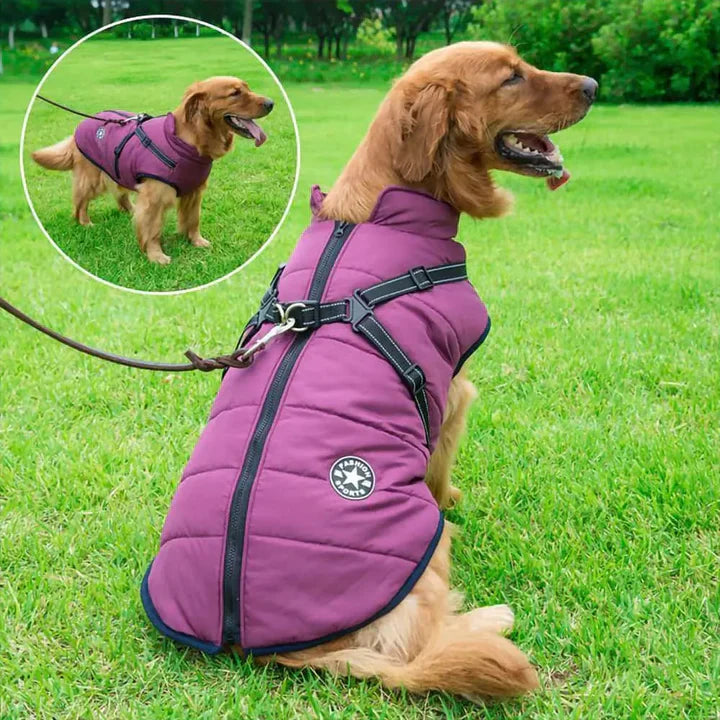 3-in-1 Winter Coat for Dogs with Harness | Padded, Waterproof and Windproof