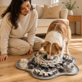 Interactive Dog Snuffle Mat