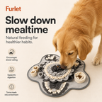 Interactive Dog Snuffle Mat