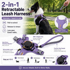 2-in-1 Retractable Dog Harness for Daily Walks – Built-In Leash Vest with Auto-Stop Control for Small & Medium Dogs
