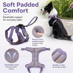 2-in-1 Retractable Dog Harness for Daily Walks – Built-In Leash Vest with Auto-Stop Control for Small & Medium Dogs