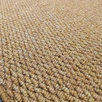 Absorbent Non-Slip Doormat for Home Entrances