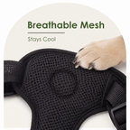 Adjustable Breathable Mesh Dog Car Safety Harness
