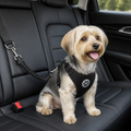 Adjustable Breathable Mesh Dog Car Safety Harness