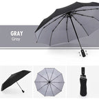 Automatic Storm Umbrella with Reverse Fold