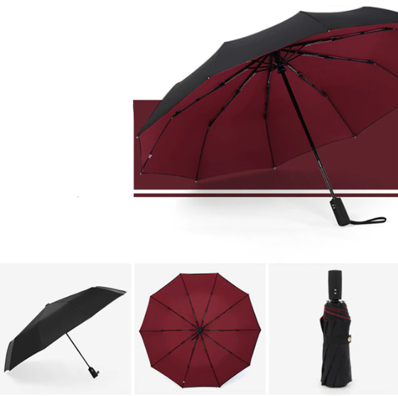 Automatic Storm Umbrella with Reverse Fold