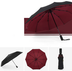 Automatic Storm Umbrella with Reverse Fold