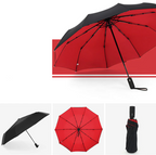 Automatic Storm Umbrella with Reverse Fold