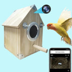 Bird Watching Nesting Feeder Nest