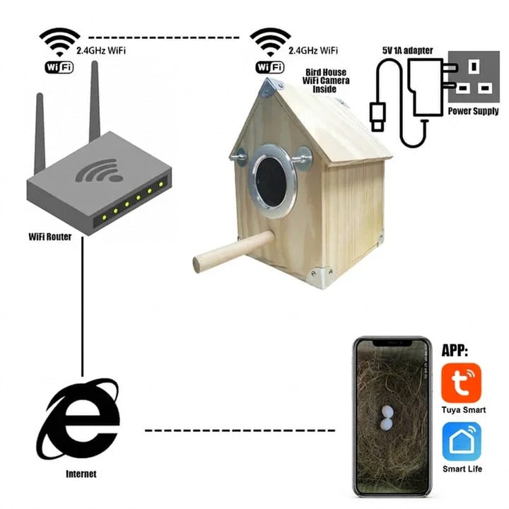 Bird Watching Nesting Feeder Nest