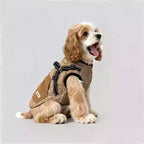 Dog 3-in-1 Winter Coat with Integrated Harness