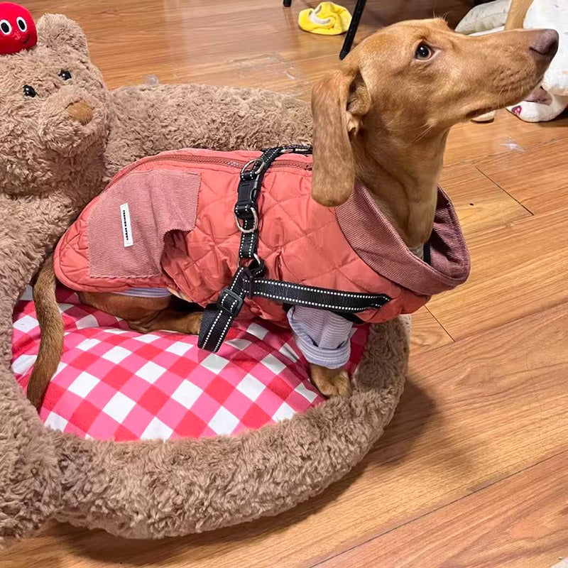 Dog 3-in-1 Winter Coat with Integrated Harness