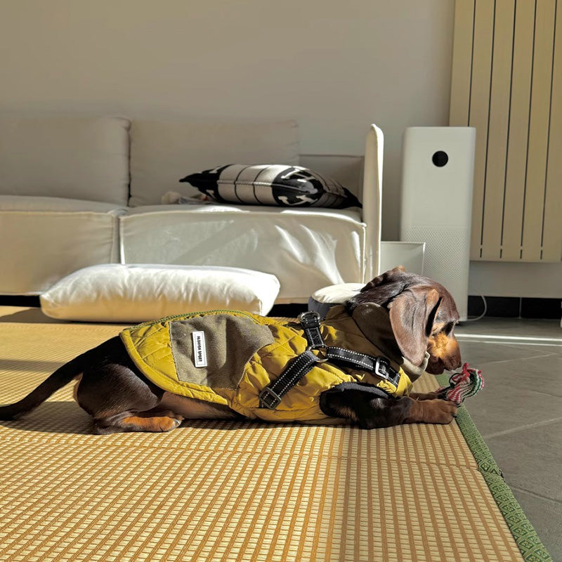 Dog 3-in-1 Winter Coat with Integrated Harness