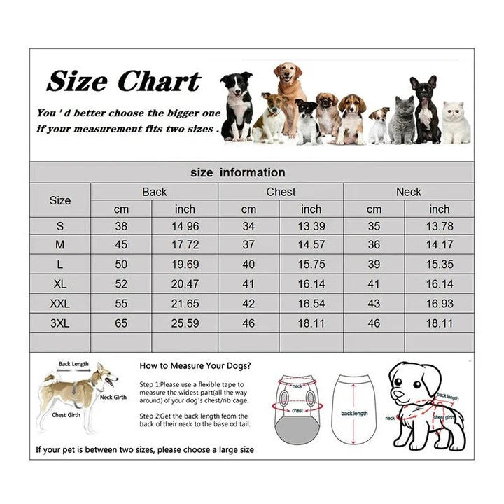 Dog winter jacket and waterproof coat