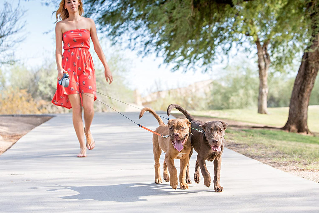 Double Dog Lead – Dual Lead for 2 Dogs with 360° Swivel, Tangle-Free, Reflective – WalkMate