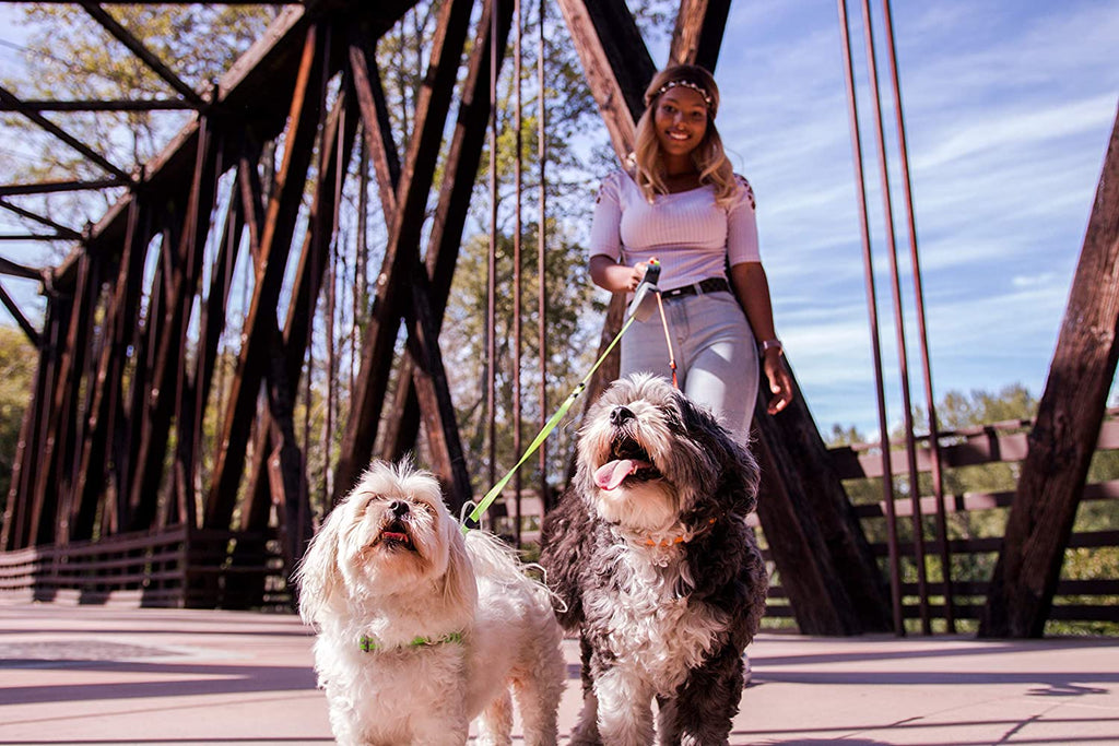 Double Dog Lead – Dual Lead for 2 Dogs with 360° Swivel, Tangle-Free, Reflective – WalkMate
