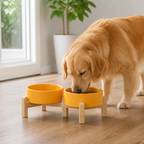 Elevated Wooden Stand & Double Ceramic Dog Bowl