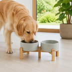 Elevated Wooden Stand & Double Ceramic Dog Bowl