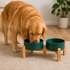 Elevated Wooden Stand & Double Ceramic Dog Bowl