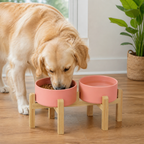 Elevated Wooden Stand & Double Ceramic Dog Bowl