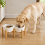 Elevated Wooden Stand & Double Ceramic Dog Bowl