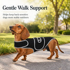 Full-length breathable & adjustable dog back support vest