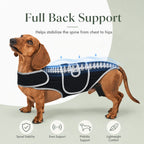 Full-length breathable & adjustable dog back support vest