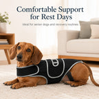 Full-length breathable & adjustable dog back support vest