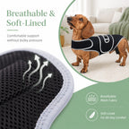 Full-length breathable & adjustable dog back support vest