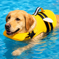 High-Visibility Chin Float & Rescue Handle Dog Life Jacket