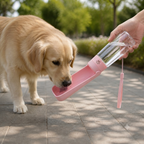 Leak-proof & foldable pet water bottle (550 ml)