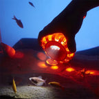LED Flashing Warning Light