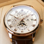 Men's Business Automatic Mechanical Watch – 316L Stainless Steel, Sapphire Glass