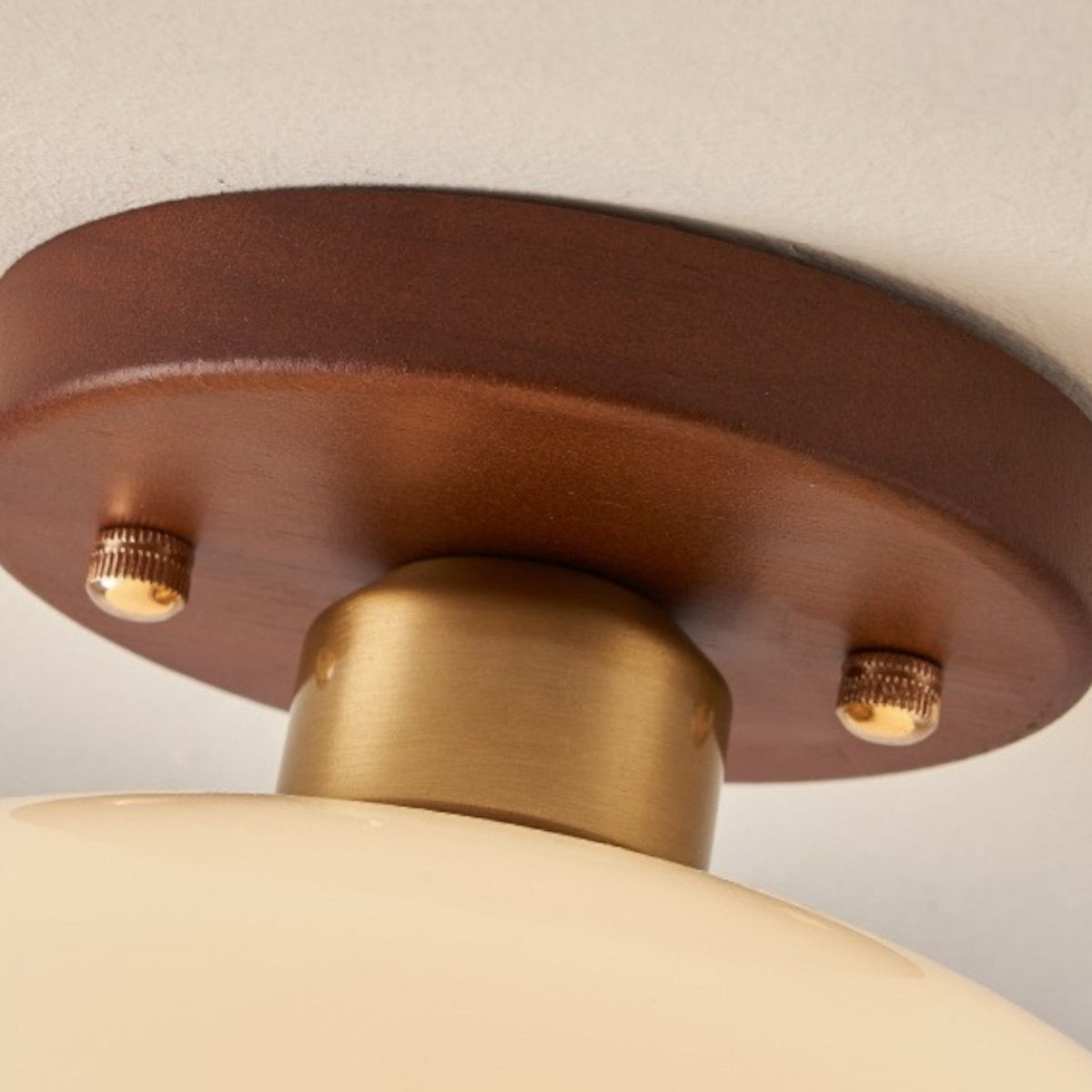 Modern Industrial LED Ceiling Lamp