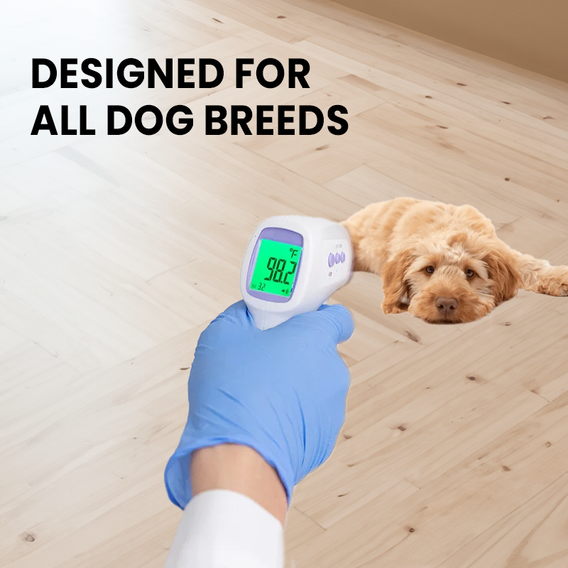 No-Contact Dog Thermometer with One-Click Reading