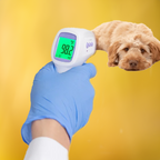 No-Contact Dog Thermometer with One-Click Reading