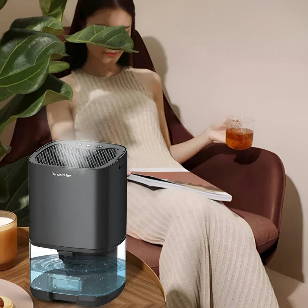 Portable dehumidifier for cellar, crawl space and small bedroom with transparent tank