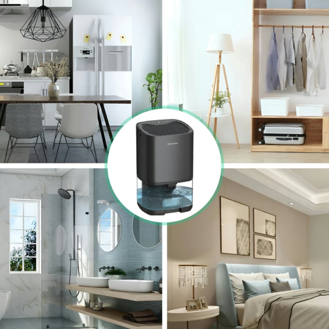Portable dehumidifier for cellar, crawl space and small bedroom with transparent tank