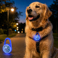 Rechargeable Clip-On LED Dog Safety Light for Night Walks – Keeps Pets Visible During Evening Walks, Jogging & Outdoor A